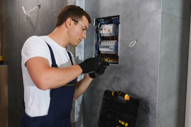 Best Generator Installation Services  in Zion, IL
